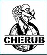 Robert Muchamore - Cherub